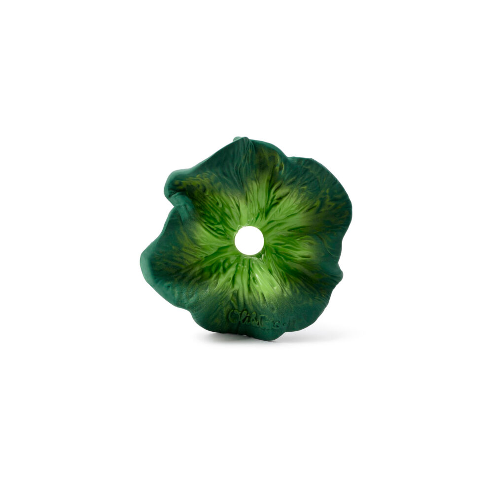 MINI DOUDOU – MORDEDOR TEETHER KENDALL THE KALE OLI & CAROL