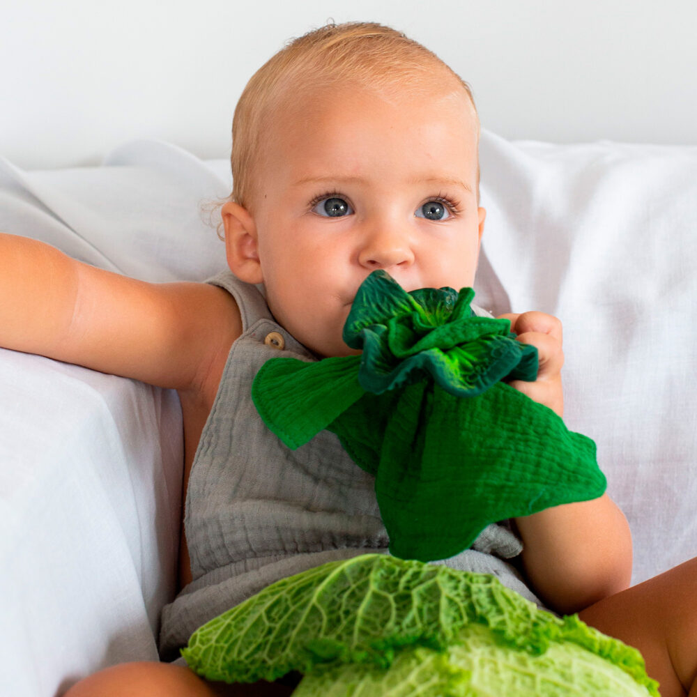 MINI DOUDOU – MORDEDOR TEETHER KENDALL THE KALE OLI & CAROL