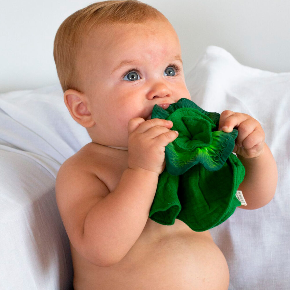 MINI DOUDOU – MORDEDOR TEETHER KENDALL THE KALE OLI & CAROL