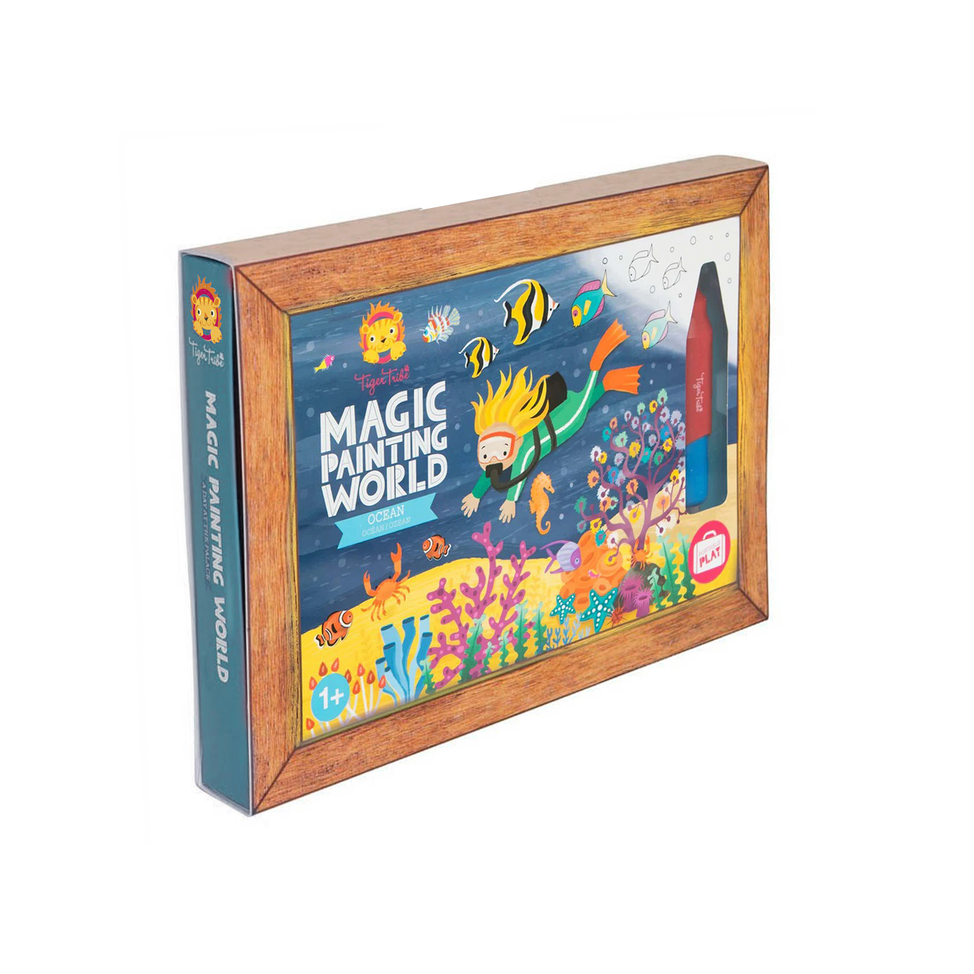 POLIEDROS MAGNÉTICOS SET DE EXTENSIÓN DE 62 PIEZAS EDUPLAY