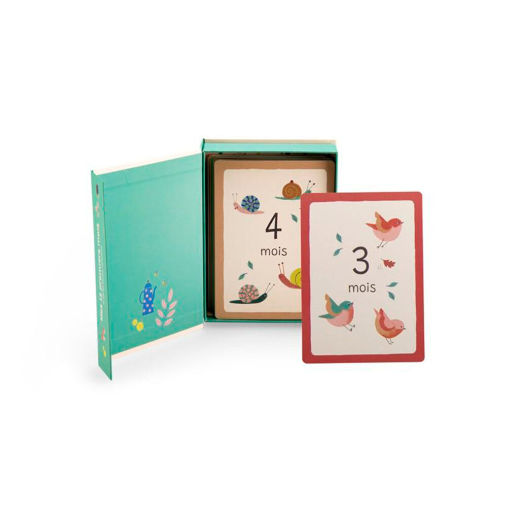 TARJETAS MIS PRIMEROS 12 MESES EN FRANCÉS COLECCIÓN POMME DES BOIS