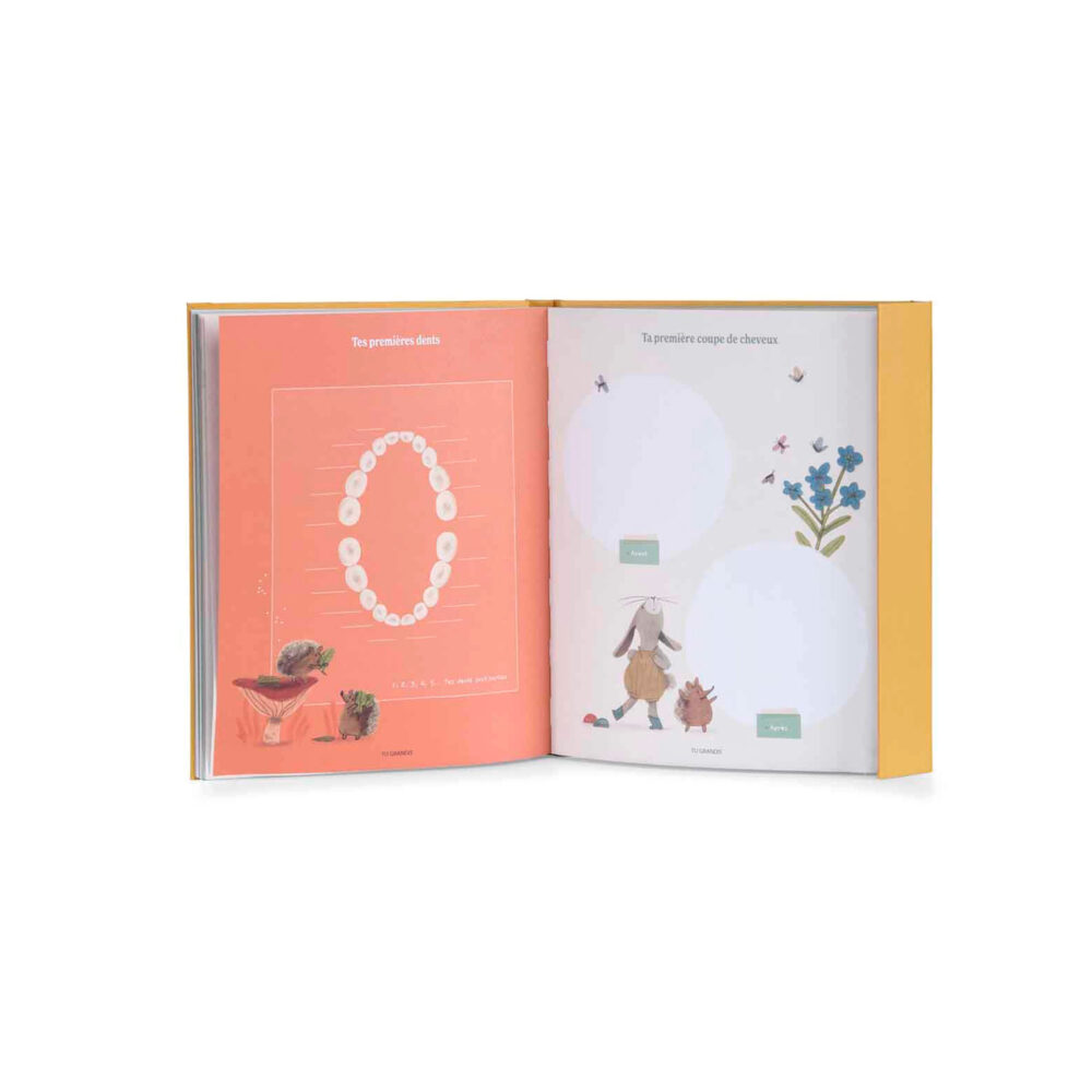 LIBRO DE NACIMIENTO EN FRANCÉS COLECCIÓN TRES CONEJITOS