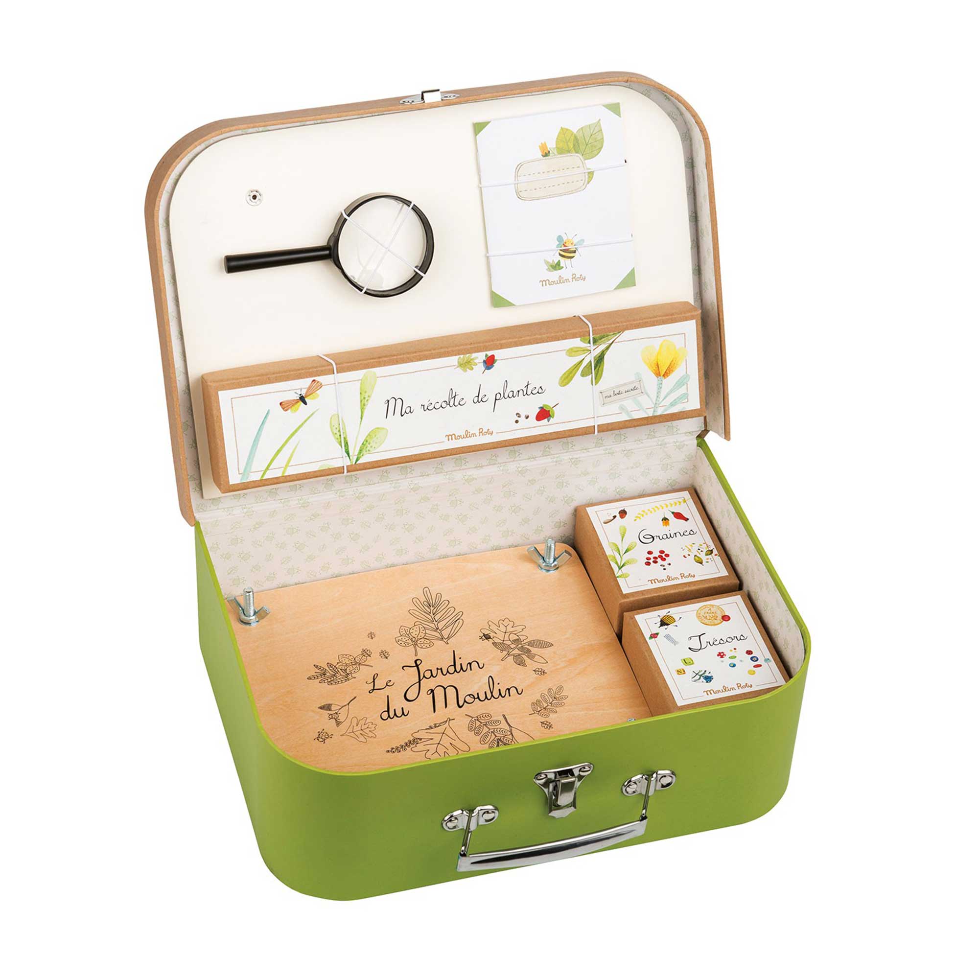MARIPOSA MÁGICA TULIPÁN COLECCIÓN LES PETITES MERVEILLES