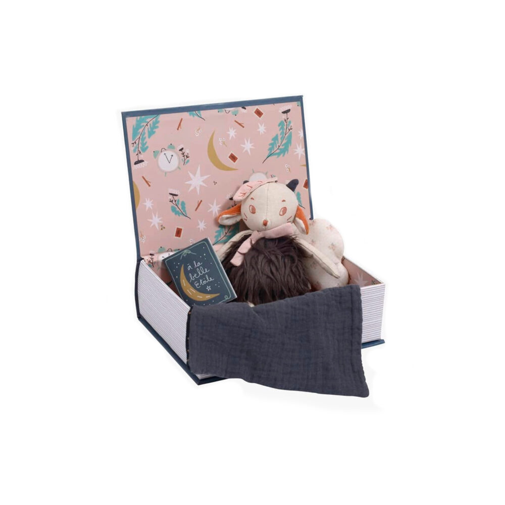 LIBRO DE RÉGLISSE CON PELUCHE DE OVEJA DULCES SUEÑOS COLECCIÓN APRES LA PLUIE