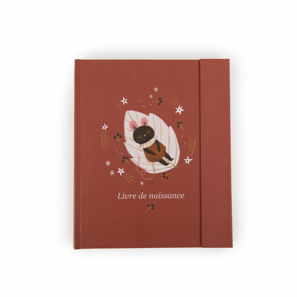 LIBRO DE NACIMIENTO EN FRANCÉS COLECCIÓN APRES LA PLUIE