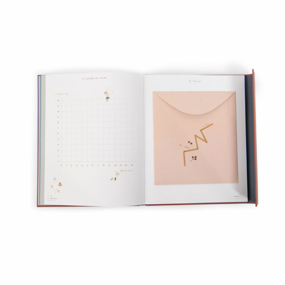 LIBRO DE NACIMIENTO EN FRANCÉS COLECCIÓN APRES LA PLUIE