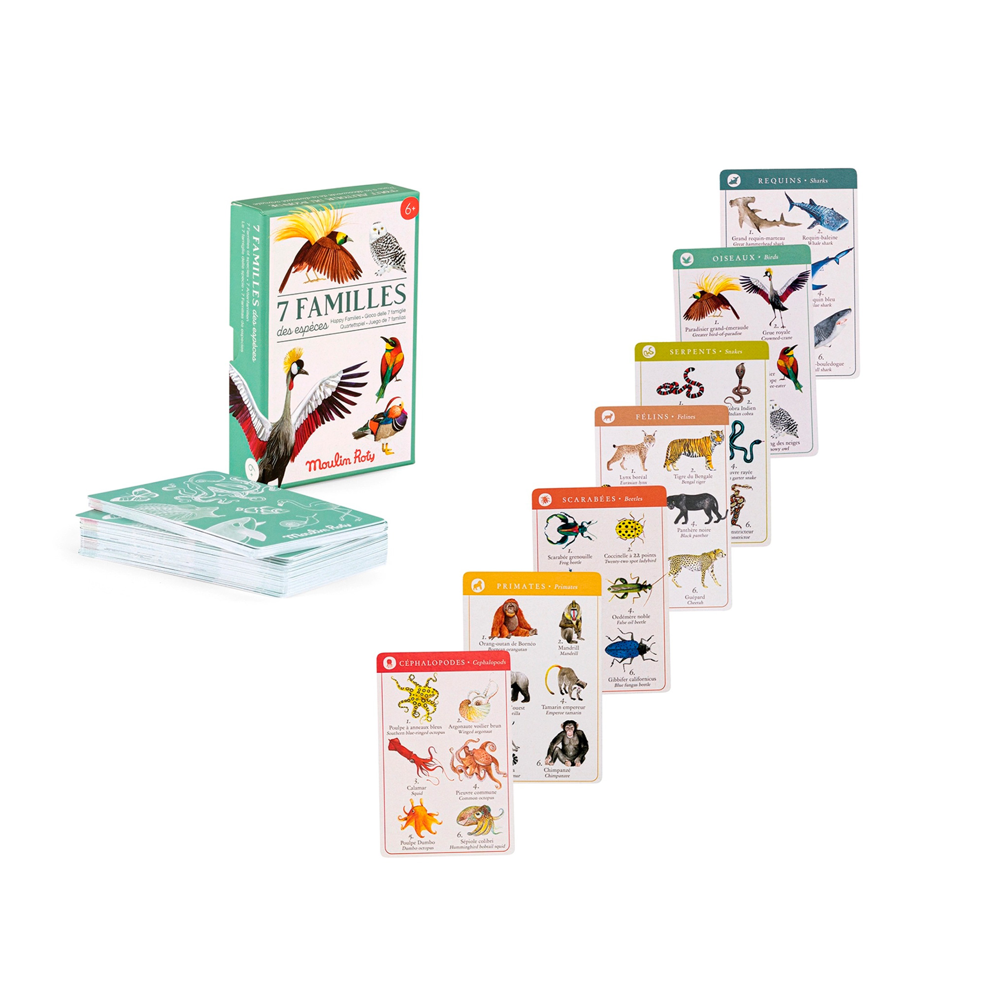 JUEGO DE CANICAS DE RALLY DE 5.5 CM COLECCIÓN LES PETITES MERVEILLES