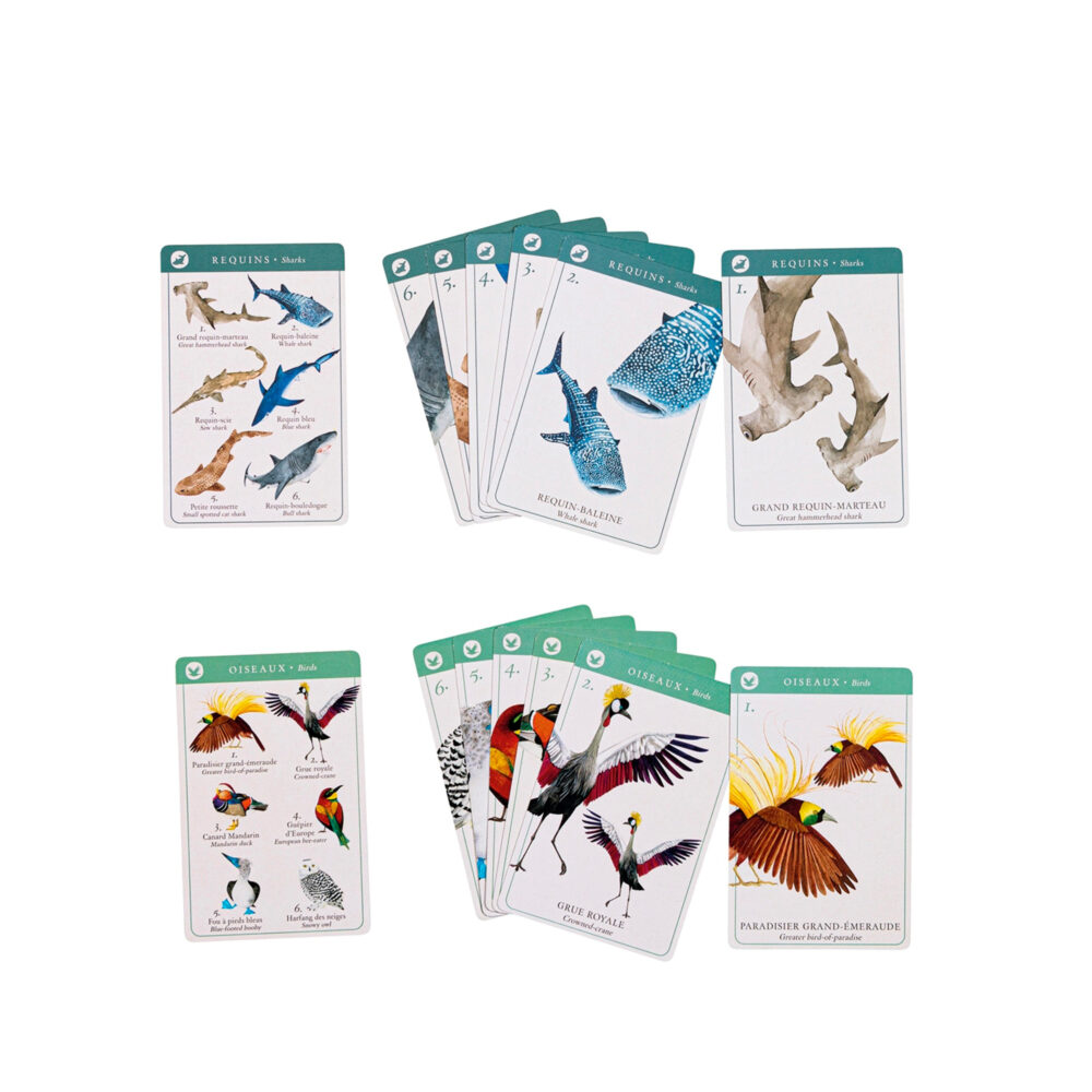 JUEGO DE 7 FAMILIAS DE ESPECIES COLECCIÓN TOUT AUTOUR DU MONDE