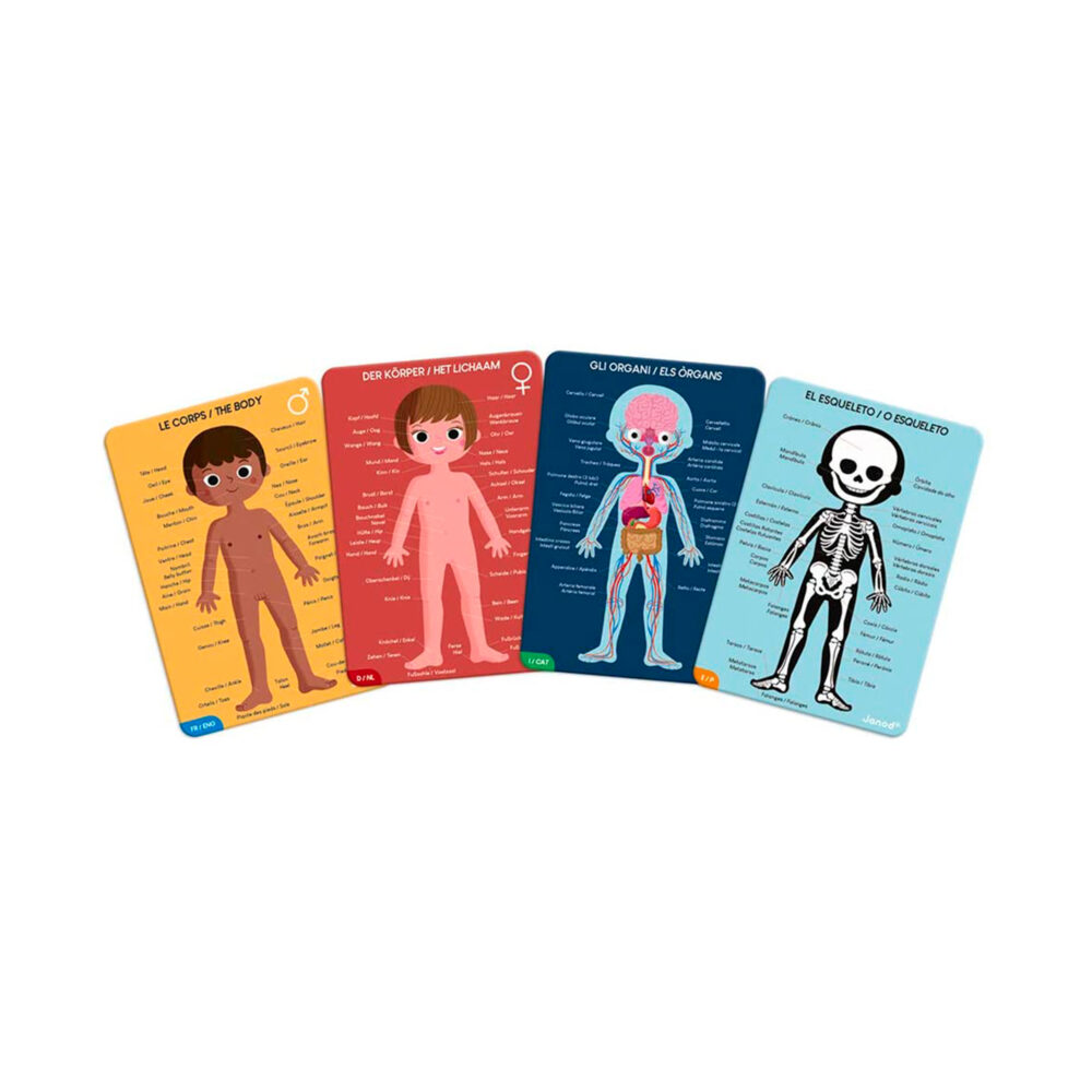 ROMPECABEZA EDUCATIVO DEL CUERPO HUMANO DE 50, 75 Y 100 PIEZAS JANOD