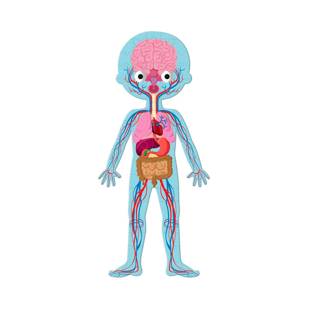 ROMPECABEZA EDUCATIVO DEL CUERPO HUMANO DE 50, 75 Y 100 PIEZAS JANOD