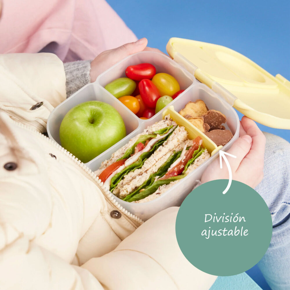 MINI LONCHERA PARA NIÑOS CON DIVISIONES MINI LUNCHBOX B.BOX
