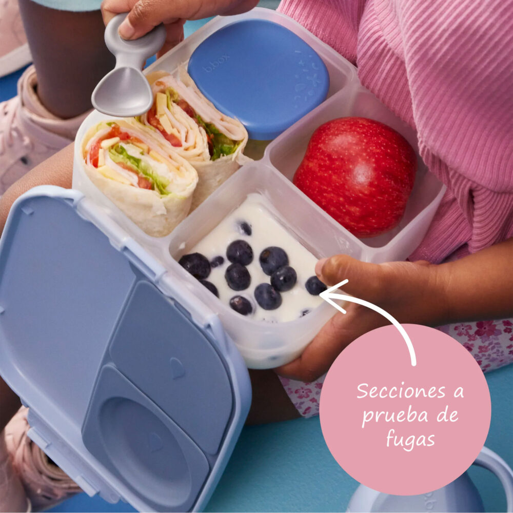 MINI LONCHERA PARA NIÑOS CON DIVISIONES MINI LUNCHBOX B.BOX
