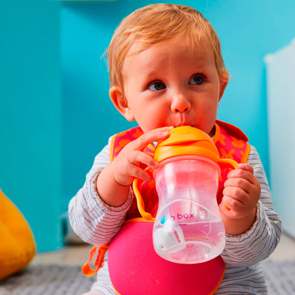 VASO CON ASAS Y CAÑITA MODELO SIPPY CUP 8 OZ / 240 ML B.BOX