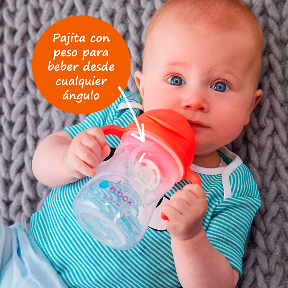 VASO CON ASAS Y CAÑITA MODELO SIPPY CUP 8 OZ / 240 ML B.BOX