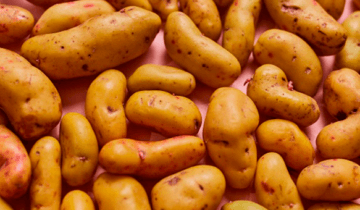ollucos clebastien|papilla ollucos zanahoria papa|beneficios ollucos|potatoe clebastien papillas|bebes zanahoria alimentacion