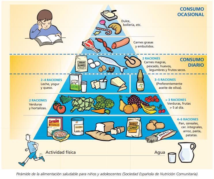 piramide alimenticia como entenderla