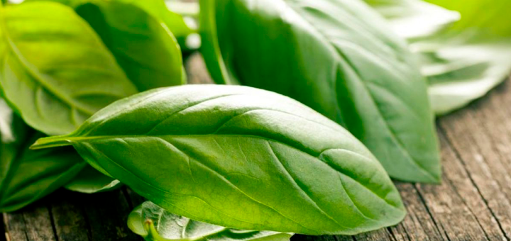 Pasta al Pesto con Brócoli