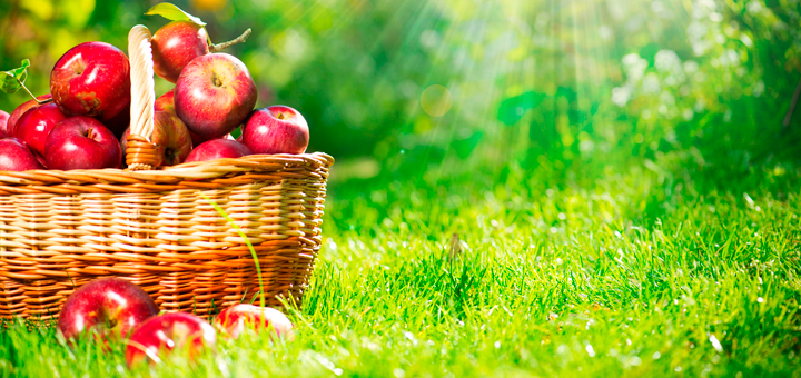 Queque de Manzana