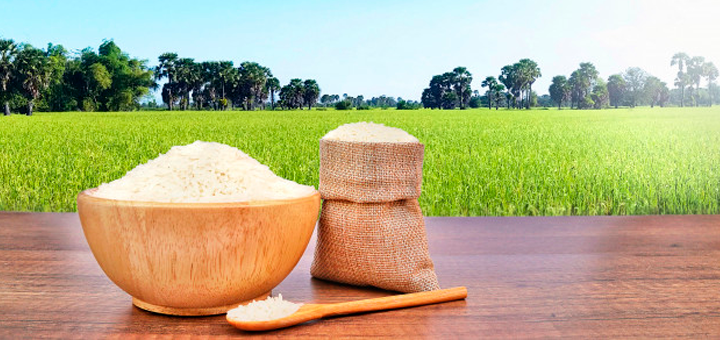 Puré de Brócoli, Pollo y Arroz