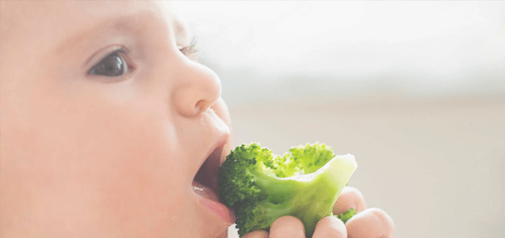 bebe brocoli