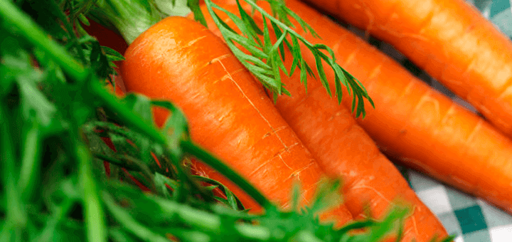 bebes zanahoria alimentacion