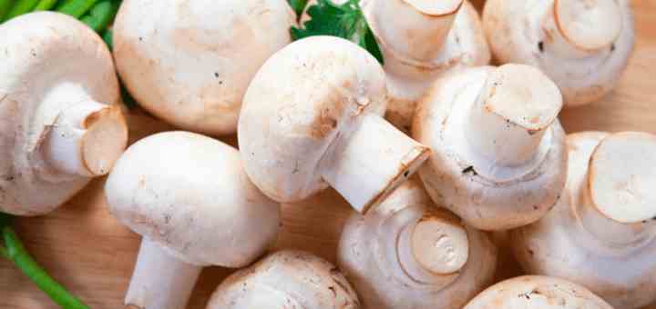 beneficios champinones