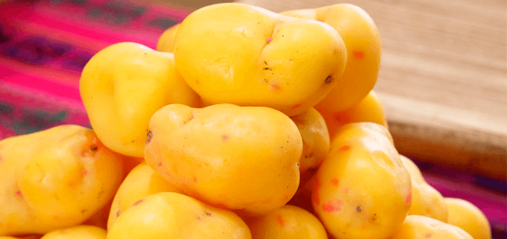 beneficios ollucos
