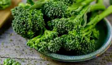 brocoli clebastien