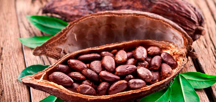 Queque de Cacao