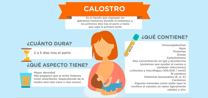 ¿Qué contiene la leche materna?