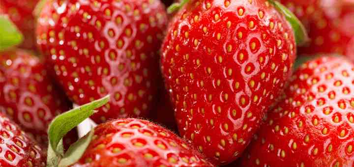 caracteristicas fresas