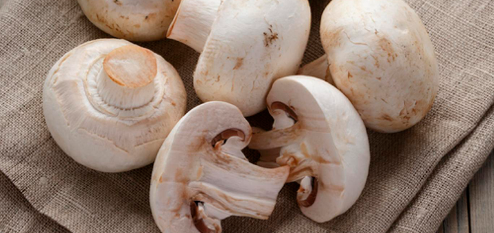 Pure de Zapallo y Champiñones