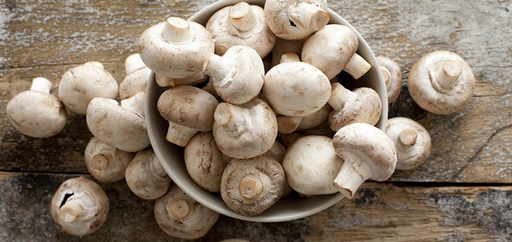 Puré de Zanahoria y Champiñones