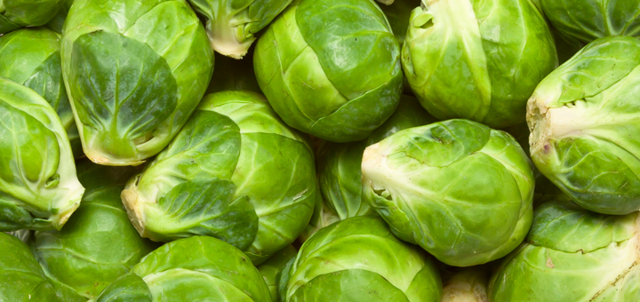 Las 7 mejores verduras para los niños