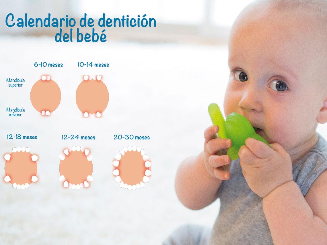 El primer diente de tu bebé: 5 cosas que los padres deben saber
