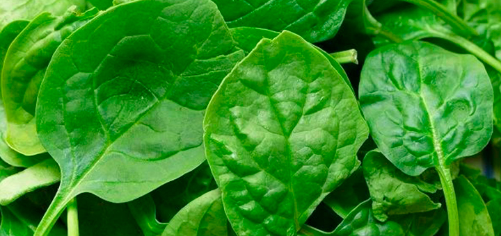 Papilla de Brócoli y Espinaca