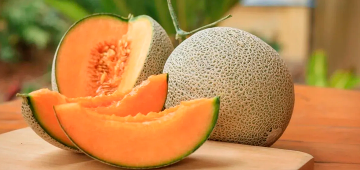 Mazamorra de Melón