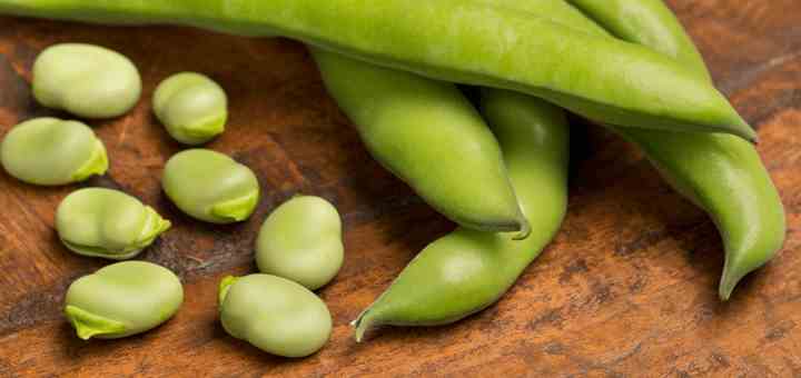 beneficios habas