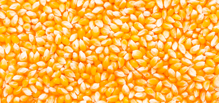 Cereales sin gluten y con gluten: Lista para el bebé