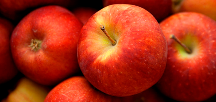 Papilla de Manzana y Avena