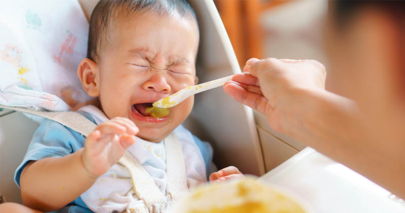 nno obligues comer bebes