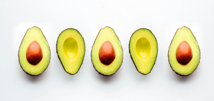 palta clebastien