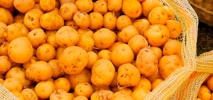 Puré de Coliflor