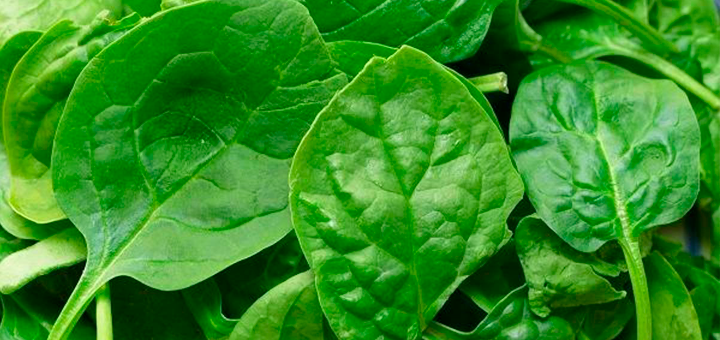Papilla de Espinaca y Arroz Integral