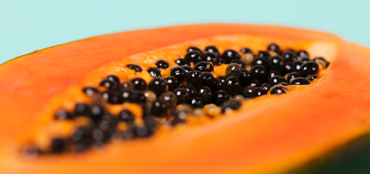 Puré de Papaya