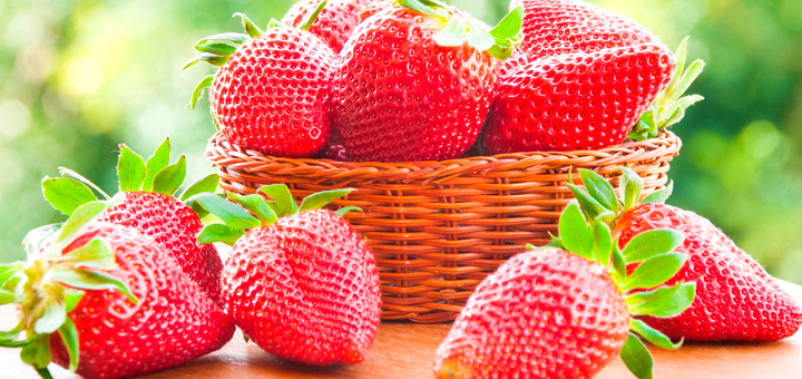 Papilla de Frutos Rojos