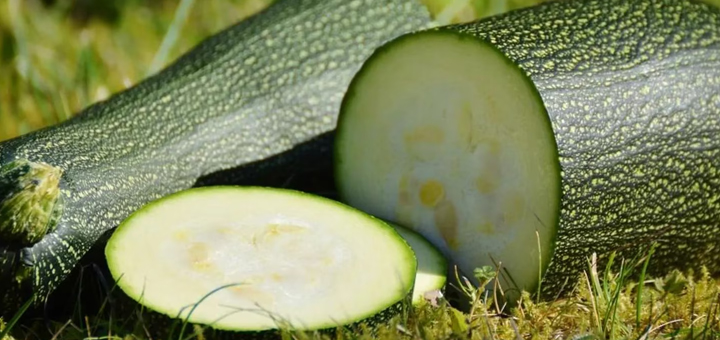 Croquetas de Zucchini
