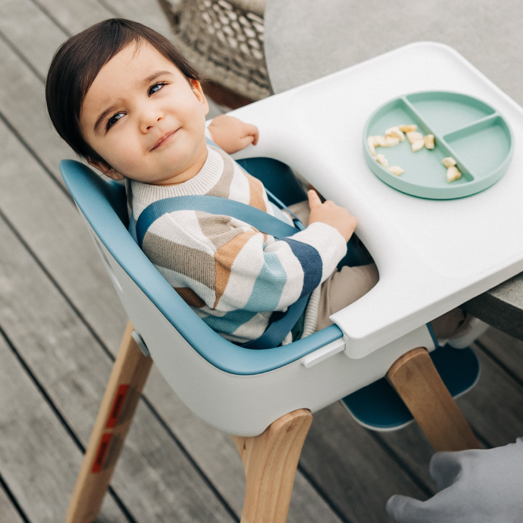 SILLA MODELO CIRO UPPABABY