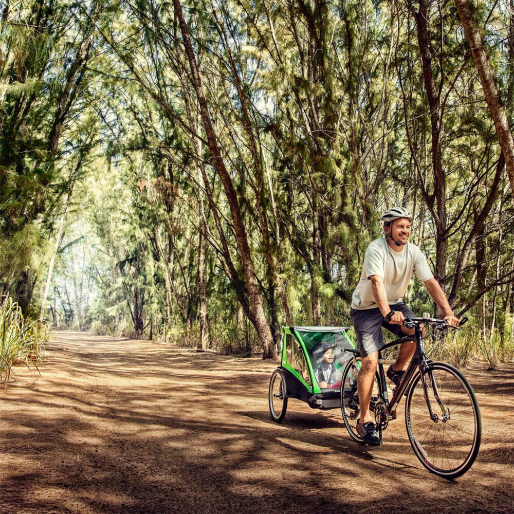 REMOLQUE DE BICICLETA PARA NIÑOS MODELO CADENCE THULE