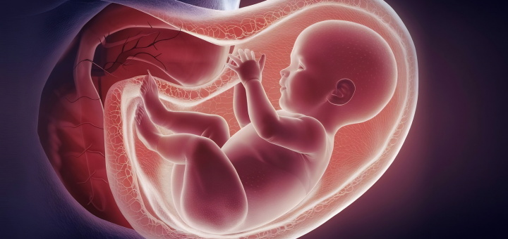 Movimiento fetal: Qué esperar y cuándo Movimiento fetal: Qué esperar y cuándo